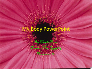 My Body PowerPoint