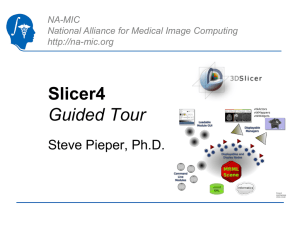 2011_Summer-Slicer4 - National Alliance for Medical Image