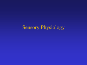 Sensory Physiology