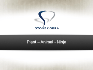 Plant_Animal_ Ninja-3