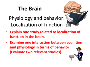The Brain - AP Psychology Community