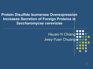 Protein Disulfide Isomerase Overexpression Increases Secretion of