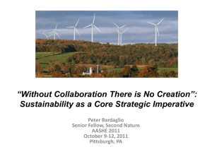 Sustainability as a Core Strategic Imperative