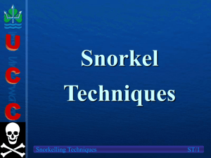 Snorkel Techniques