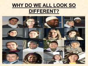WHY DO WE ALL LOOK SO DIFFERENT?