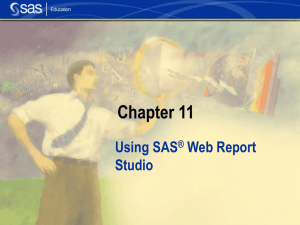 SAS 9.1: BI Reporting