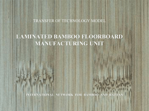 Bamboo Flooring PPT - International Network for Bamboo and Rattan