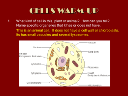 7th grade study guide cells answer the following questions your