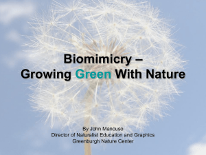 Biomimicry – Growing Green With Nature