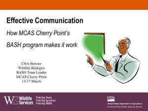 How MCAS Cherry Point`s BASH program makes it work