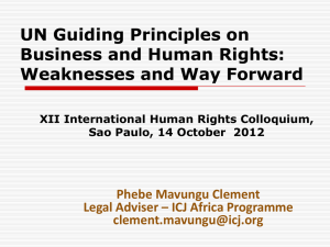 UN Guiding Principles on Business and Human Rights