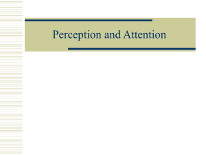 Perception and Attention