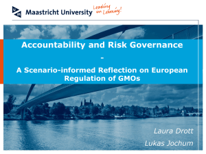Accountability and Risk Governance: A Scenario