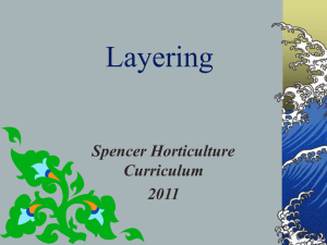 Layering - Spencer