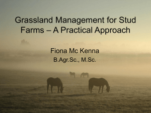 Grassland Management for Stud Farms – Fiona McKenna