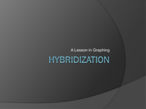 Hybridization PP