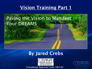 Vision Training 1.0 PPT - Success Team International