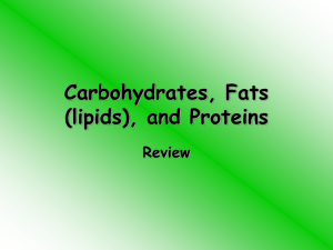 Carbohydrates_Fats_lipids_and_Proteins_review