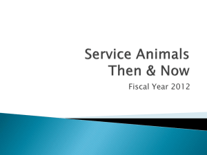 SERVICE ANIMALS