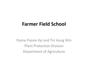 Why was Farmer Field School (FFS)