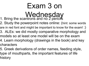 Exam 3 on Wednesday 1. Bring the scantrons and no 2 pencils 2