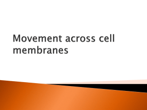 Movement across cell membranes v2