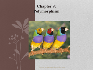 Polymorphism and Collections