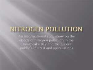 Nitrogen Pollution