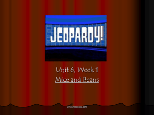 Week 1: Mice and Beans jeopardy