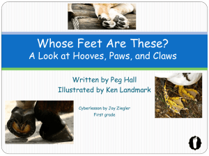 Whose Feet Are These? A Look at Hooves, Paws, and Claws
