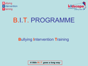 BIT programme