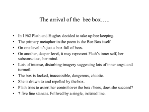 The arrival of the bee box…