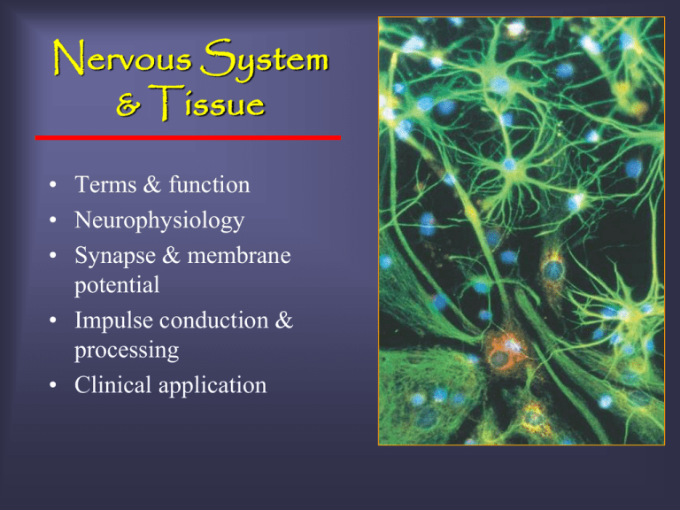 graded-potential-wquerryeducation