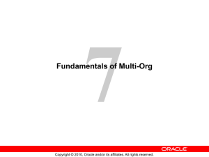 Fundamentals of Multi-Org
