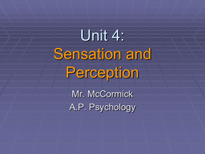Chapter 8: Sensation and Perception