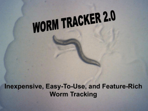 Worm Tracker 2.0