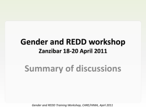 Gender and REDD workshop