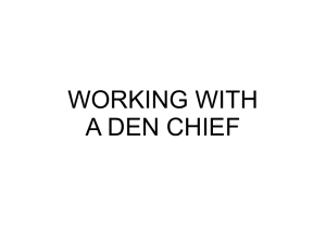 Working with a Den Chief