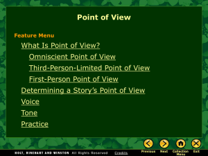 What Is Point of View?