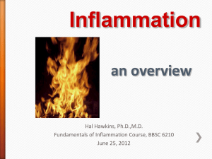 slides on inflammation
