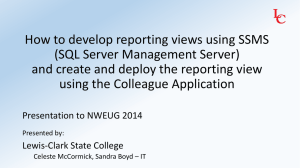 How to develop reporting views using SQL Server Management
