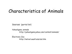 Comparing Animals PPT