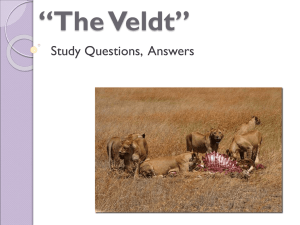 The Veldt, answers