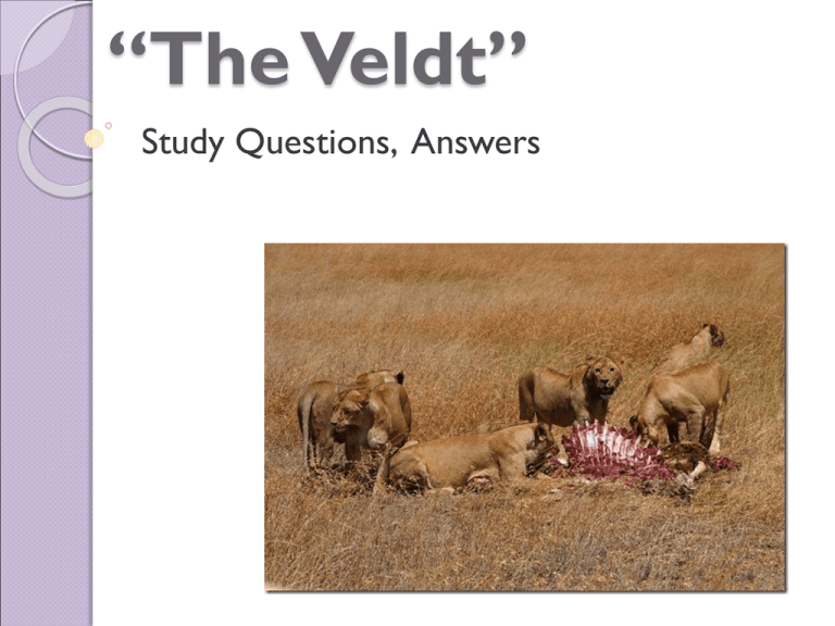 essay questions the veldt