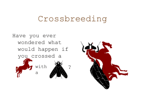 Cross_Breeding