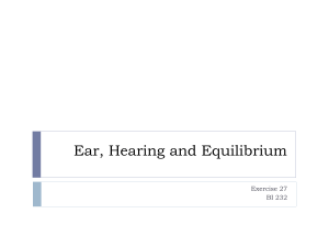 Ear, Hearing and Equilibrium
