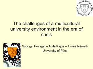 The challenges of a multicultural university environment in the ear of