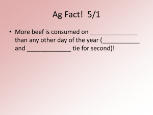 AG 12.8 - Marking and Branding Livestock
