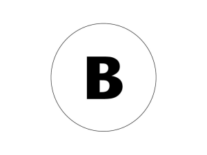 B Series - Belonging