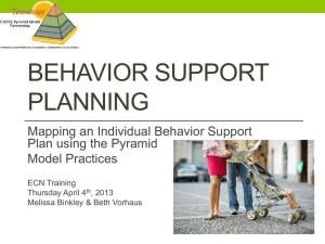 Behavior Support Planning ECN 4.4.13